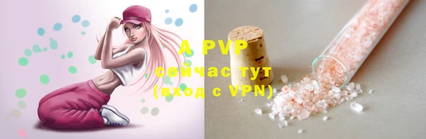 стаф Медногорск