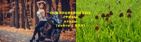 скорость Нея